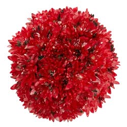 Cupcakes Seasonal Bouquet