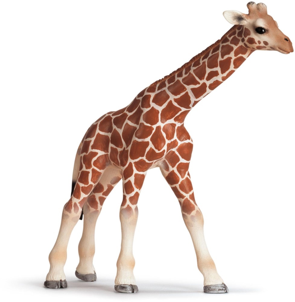 slide 1 of 1, Schleich Giraffe Calf Figure - Brown/White, 1 ct