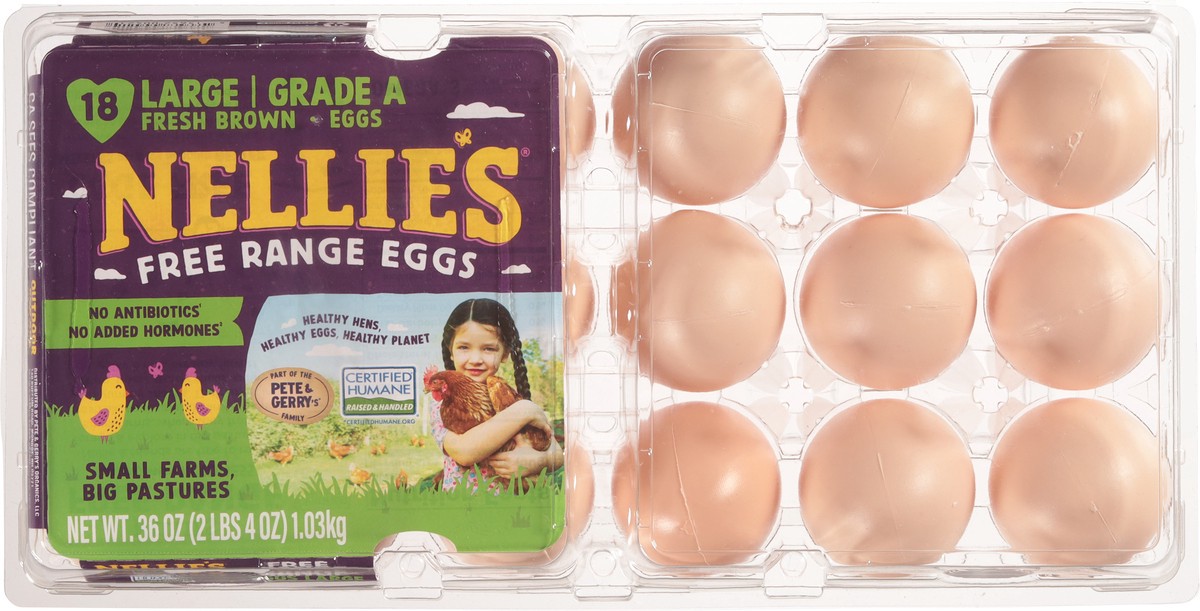 slide 8 of 12, Nellie's Free Range Brown Eggs Large 18 ea, 18 ct