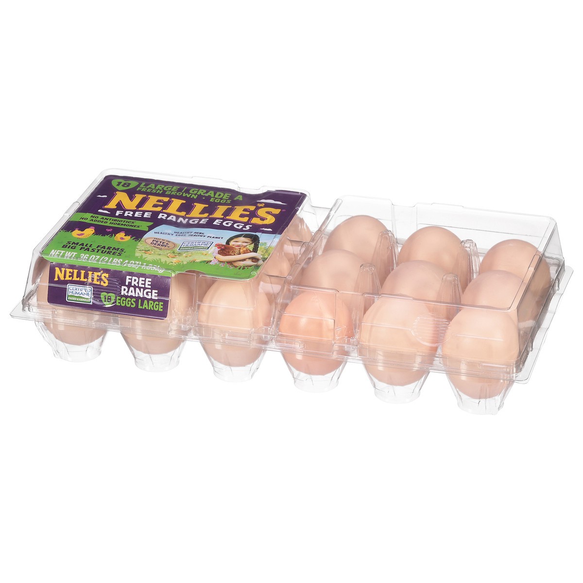 slide 5 of 12, Nellie's Free Range Brown Eggs Large 18 ea, 18 ct