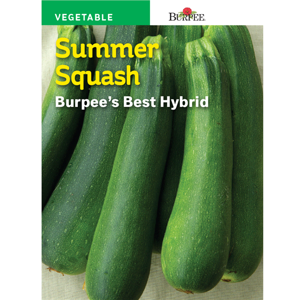 slide 1 of 1, Burpee Summer Squash, Burpee's Best Hybrid, 1 ct