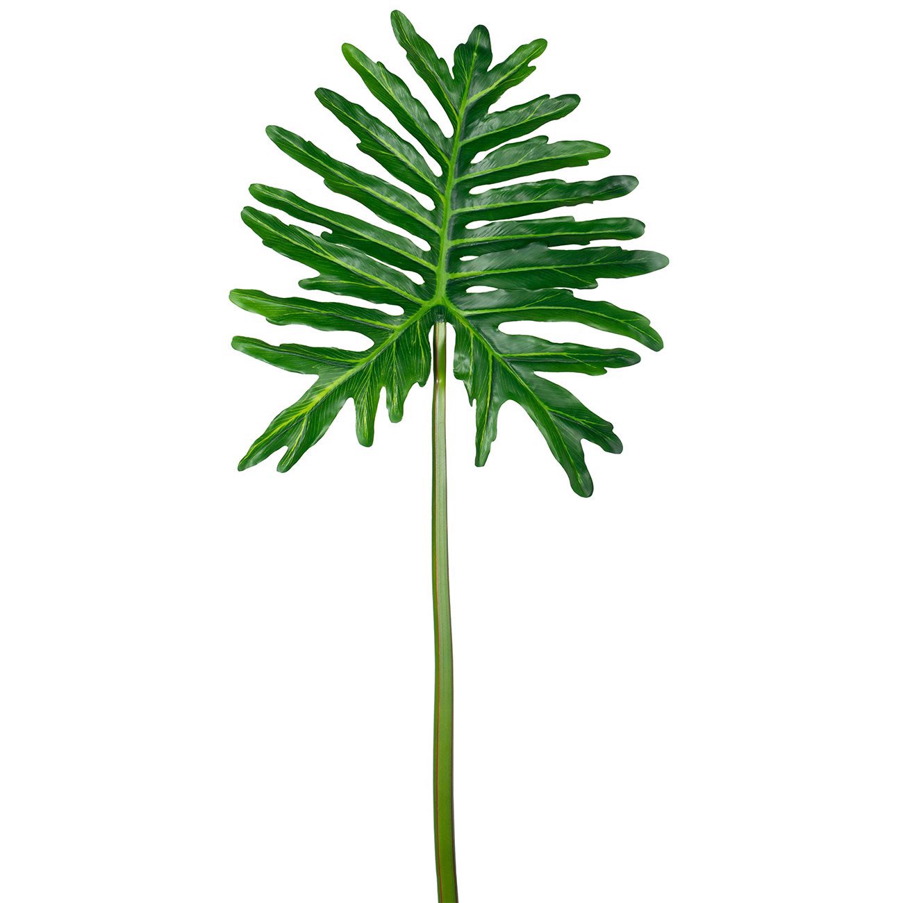 slide 1 of 1, Allstate Floral Green Selloum Leaf Faux Botanical Spray, 36 in
