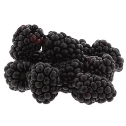 Fresh Prepacked Blackberries - 6 Oz