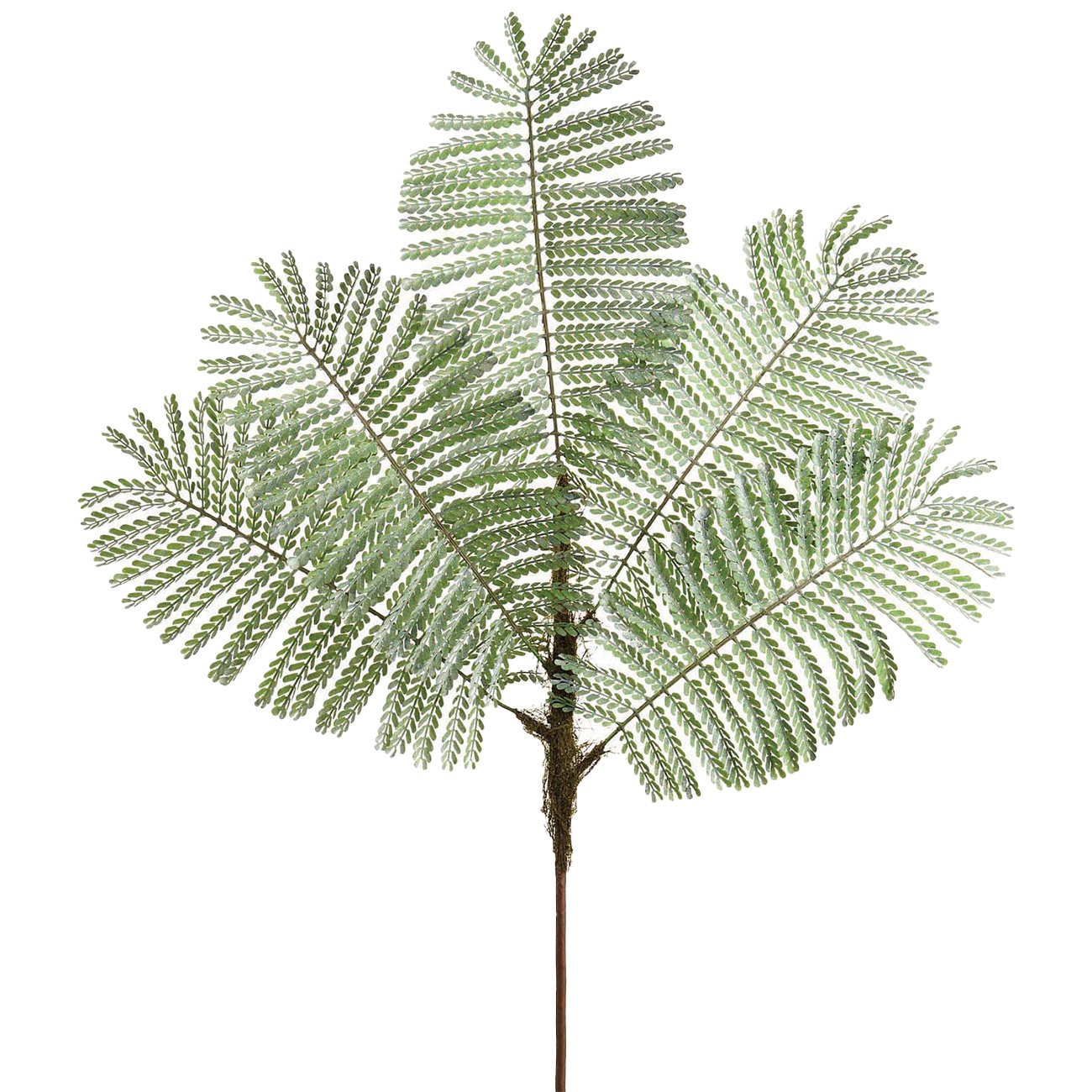slide 1 of 1, Allstate Floral Delonix Regia Leaf Faux Botanical Spray, 44 in