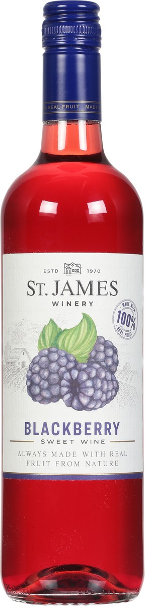 slide 4 of 9, St. James Winery Winery Blackberry Wine, 750 ml