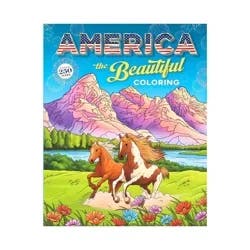 America the Beautiful Coloring - by Editors of Thunder Bay Press (Paperback)