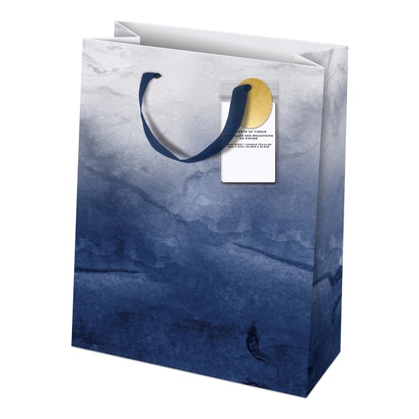 slide 1 of 1, Lady Jayne Gift Bag With Tissue Paper, Vertical, Ombre Blue, 11''H X 13-3/4''W X 4''D, 1 ct