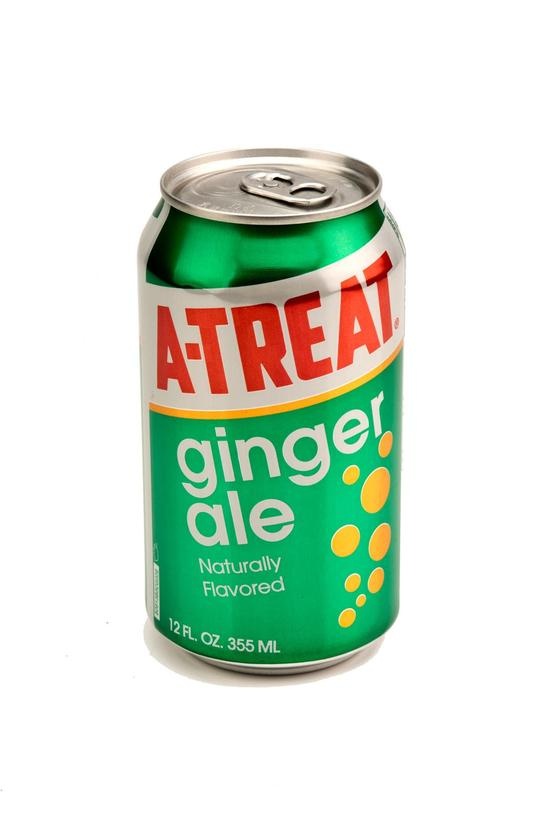 slide 1 of 1, A-Treat Diet Ginger Ale, 20 fl oz
