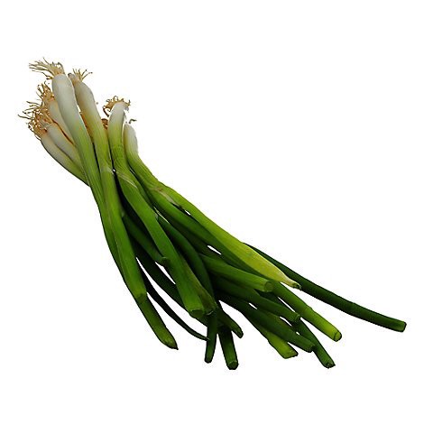 slide 1 of 1, FRESH Green Onions Iceless, 1 ct