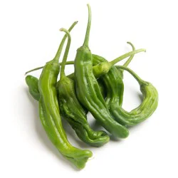 Peppers- Shishito Untiedt