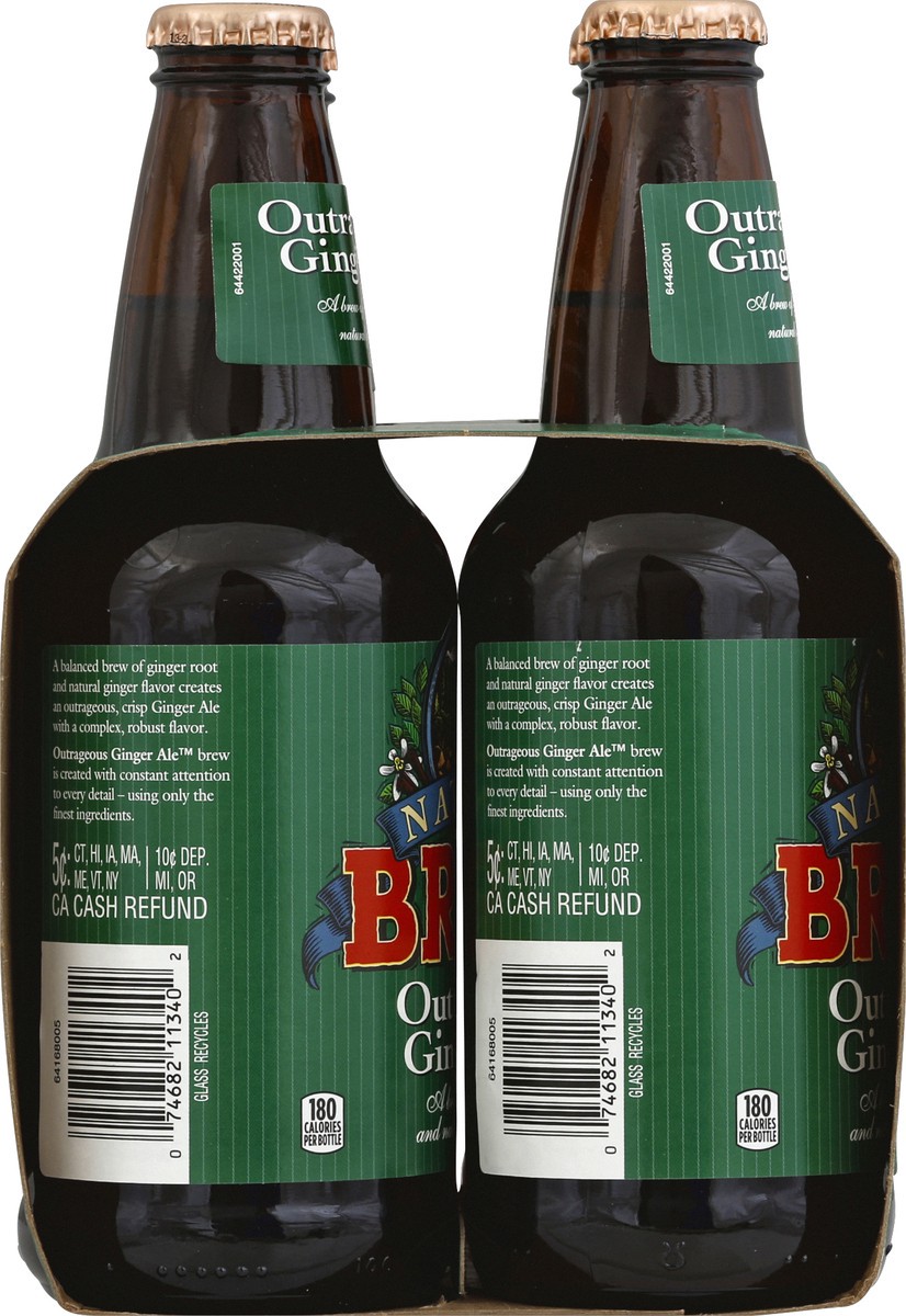 slide 3 of 6, Natural Brew Soda Ginger Ale 4Pk, 4 ct; 12 oz