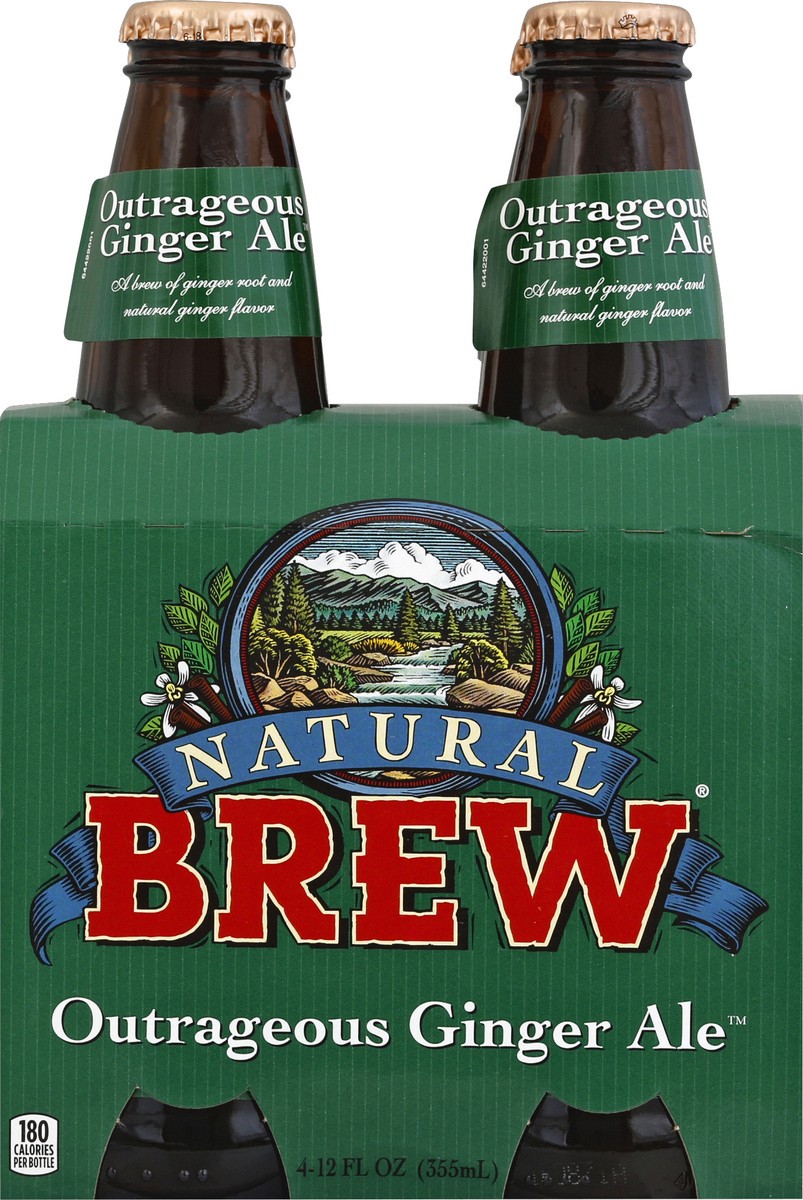 slide 5 of 6, Natural Brew Soda Ginger Ale 4Pk, 4 ct; 12 oz