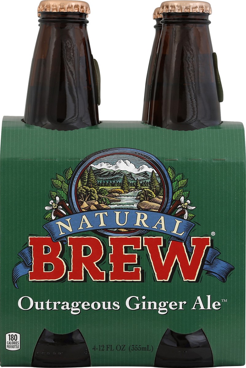 slide 6 of 6, Natural Brew Soda Ginger Ale 4Pk, 4 ct; 12 oz