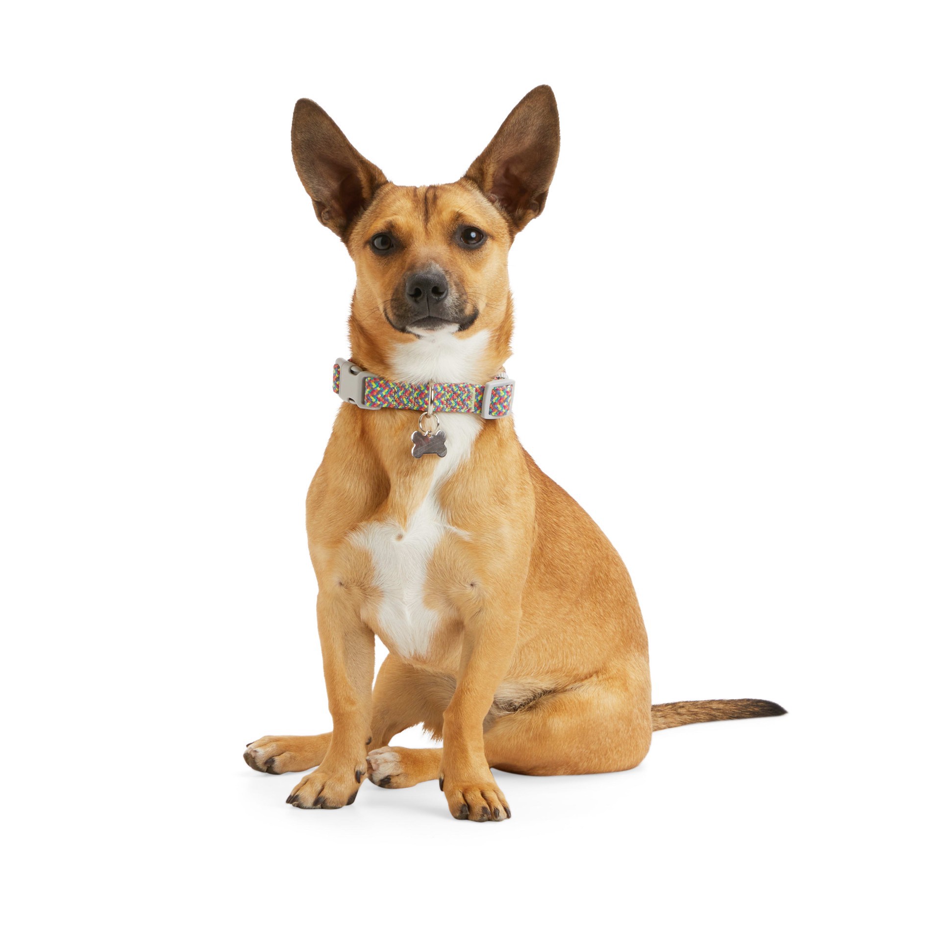 slide 1 of 1, YOULY Multicolored Reflective Dog Collar, Small, SM