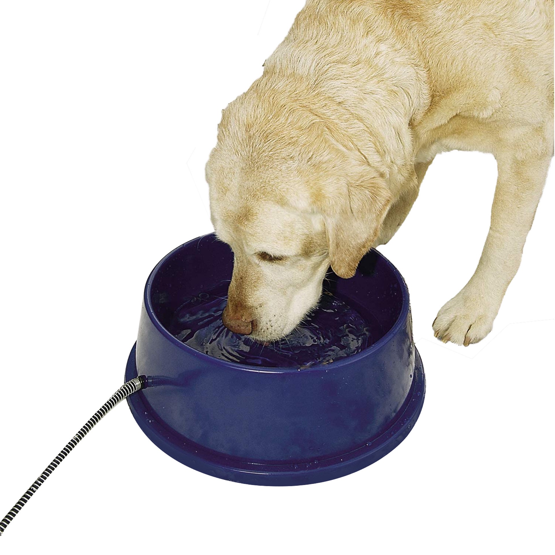 slide 1 of 10, K & H K&H Pet Products Thermal-Bowl Outdoor Heated Cat & Dog Water Bowl Blue 96 Ounces, SM
