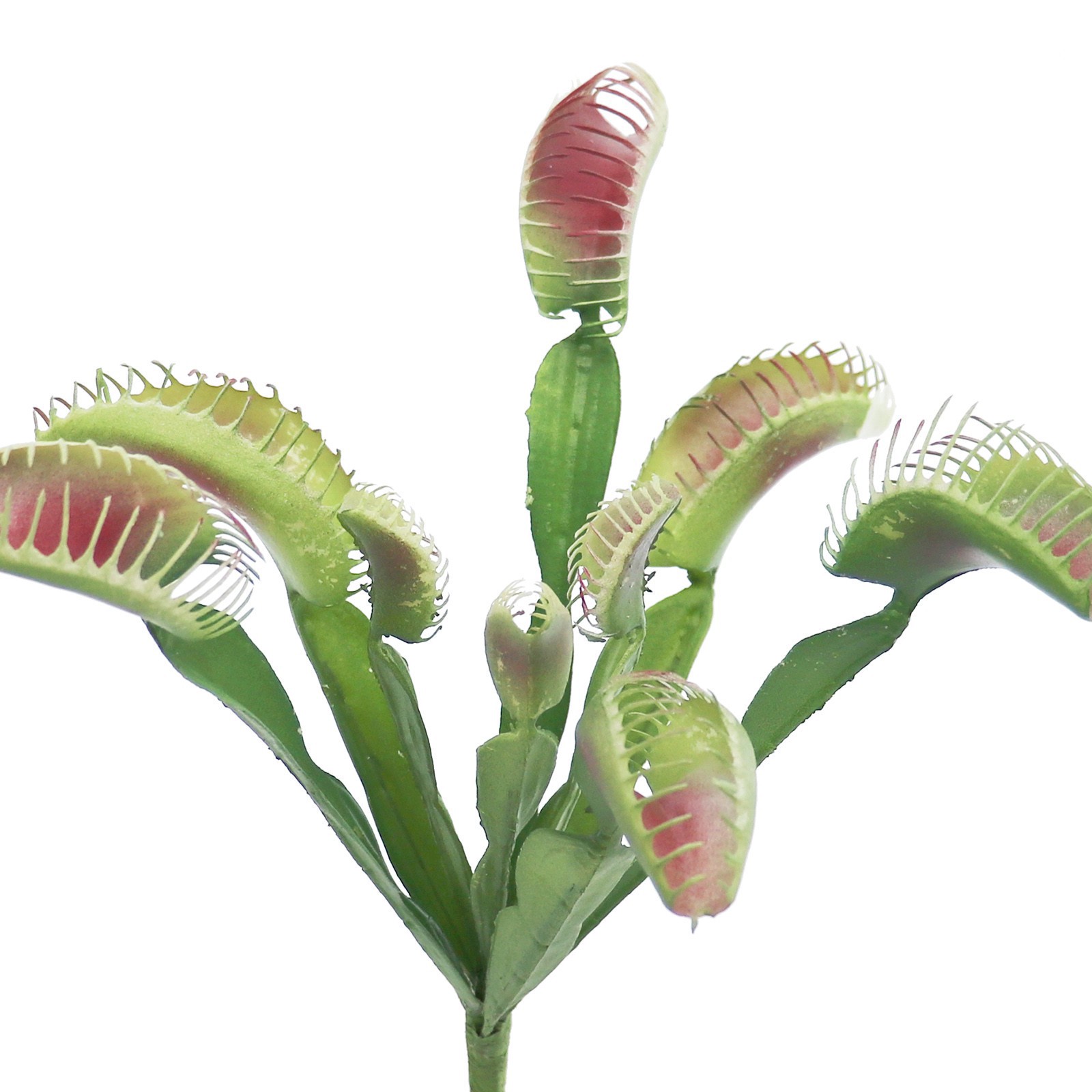 slide 2 of 2, 11.25" Red & Green Venus Flytrap Pick By Ashland, 11.25 in