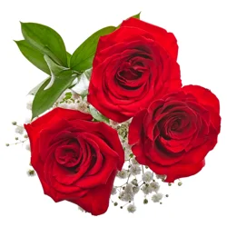 Floral & Vine Three Roses Bouquet