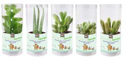 SoCUTElents Animal Inspired Plants