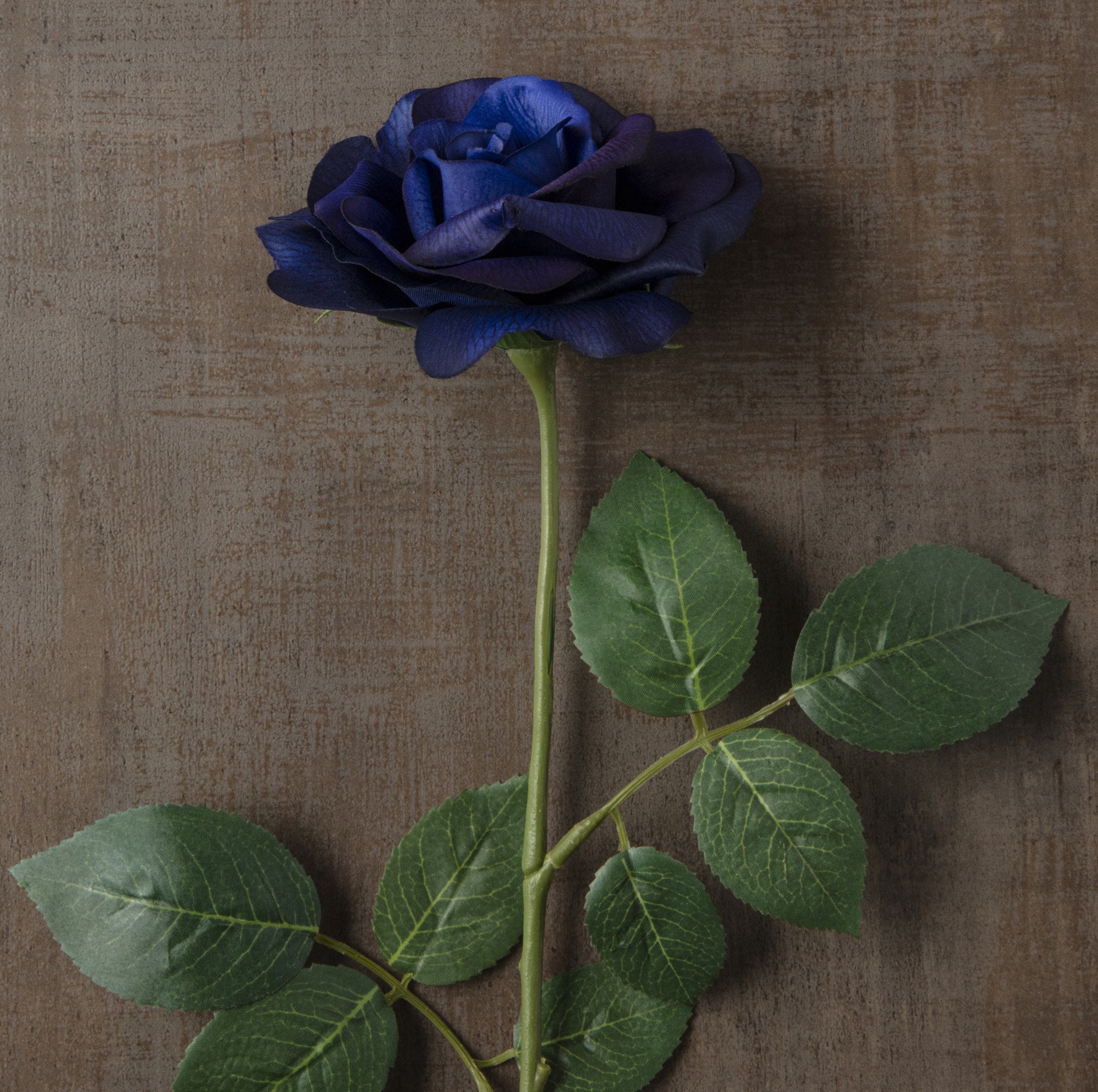 slide 2 of 5, Navy Princess Rose Stem By Ashland, 25.5 in