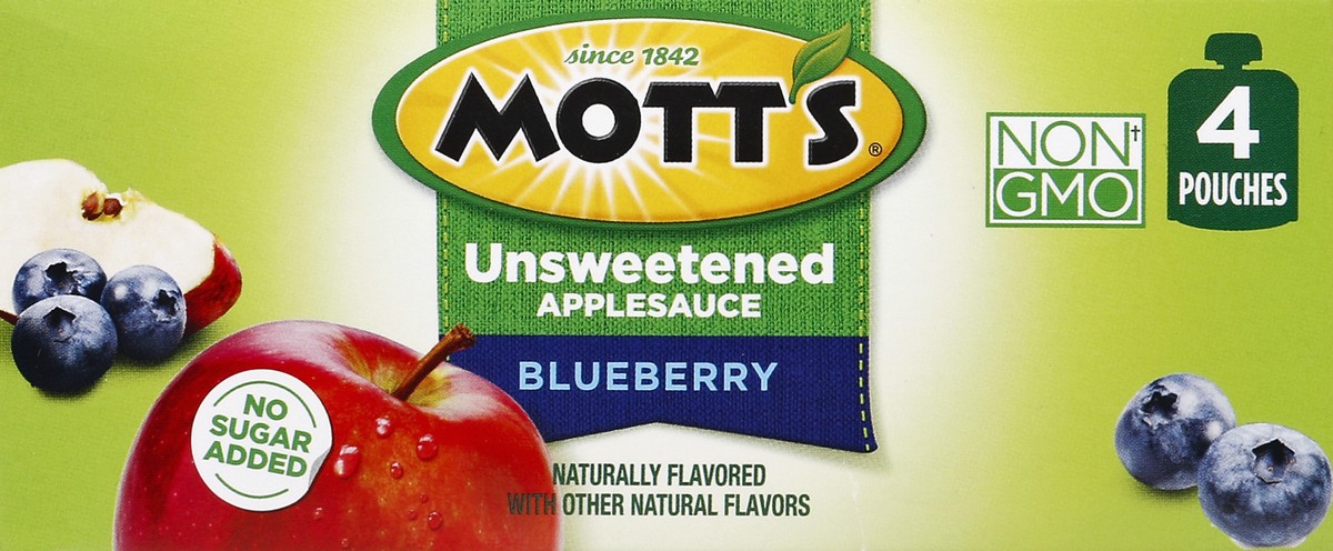 slide 4 of 6, Mott's Motts Blueberry Applesauce Pouch 4Pk, 12.8 oz
