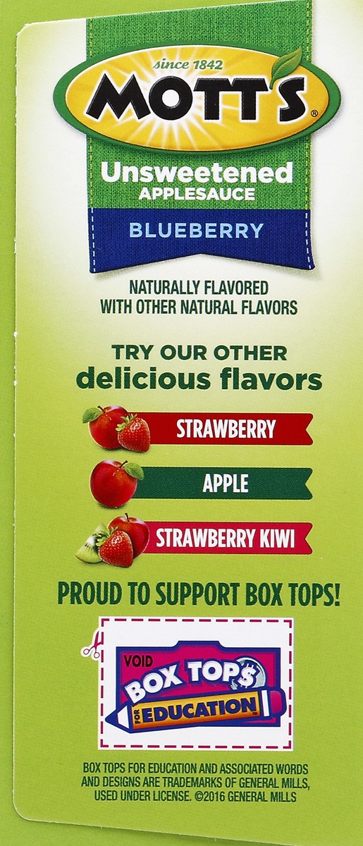 slide 5 of 6, Mott's Motts Blueberry Applesauce Pouch 4Pk, 12.8 oz