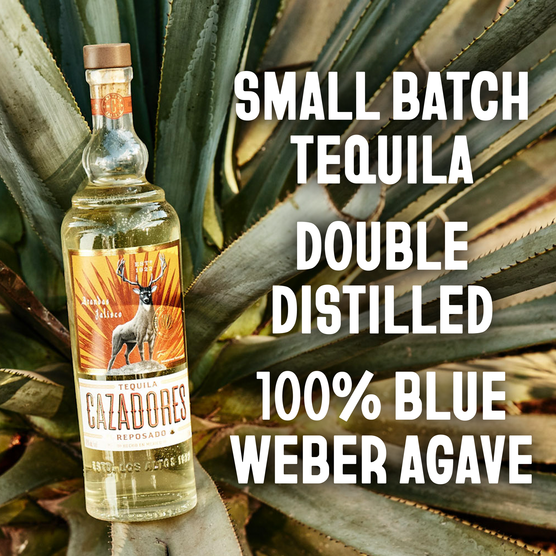 slide 3 of 5, Cazadores Tequila Cazadores Reposado 40% 100Cl/1L, 1 l