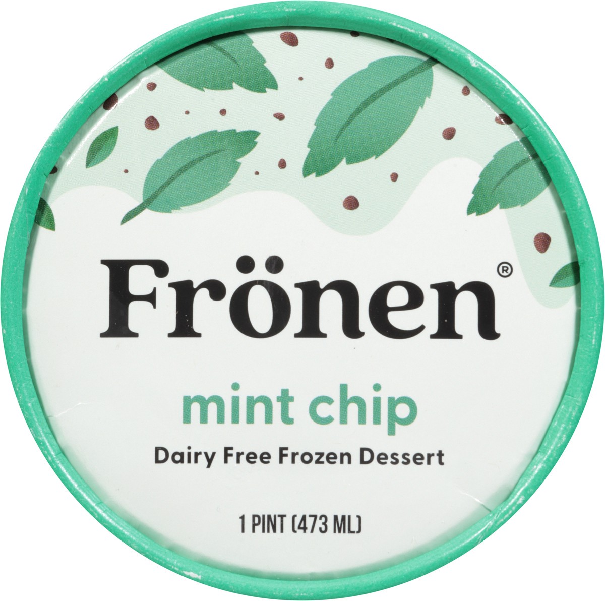 slide 10 of 13, Frönen Dairy Free Mint Chip Frozen Dessert 1 pt, 1 ct