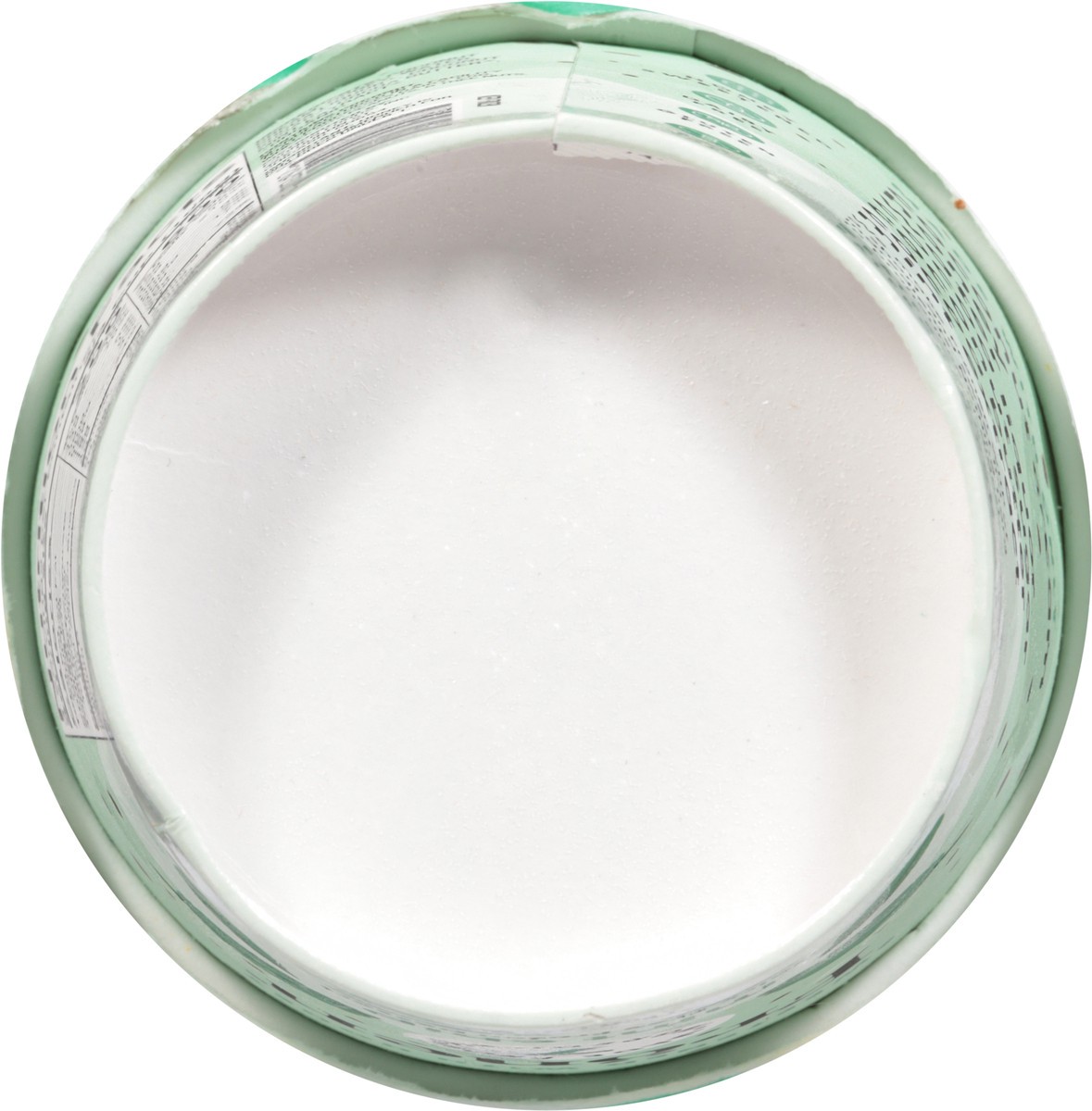 slide 9 of 13, Frönen Dairy Free Mint Chip Frozen Dessert 1 pt, 1 ct