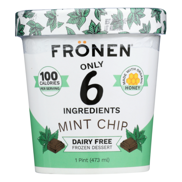 slide 1 of 1, Frönen Fronen Ice Cream Mint Chip Dairy Free, 1 ct