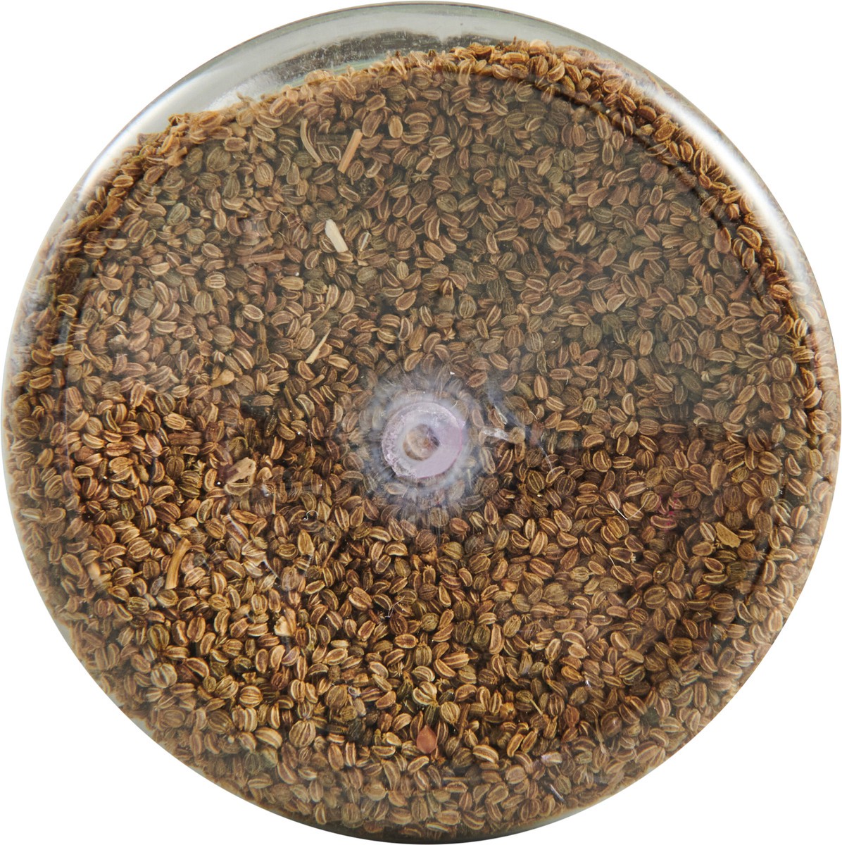 slide 8 of 9, Spice Classics Celery Seed, 2.37 oz