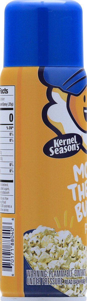 slide 8 of 10, Kernel Season's Kernel Seasons Butter Spritzer, 4 fl oz