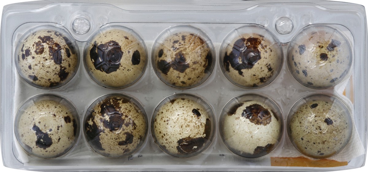 slide 4 of 8, QQE Quality Quail Eggs, 10 ct