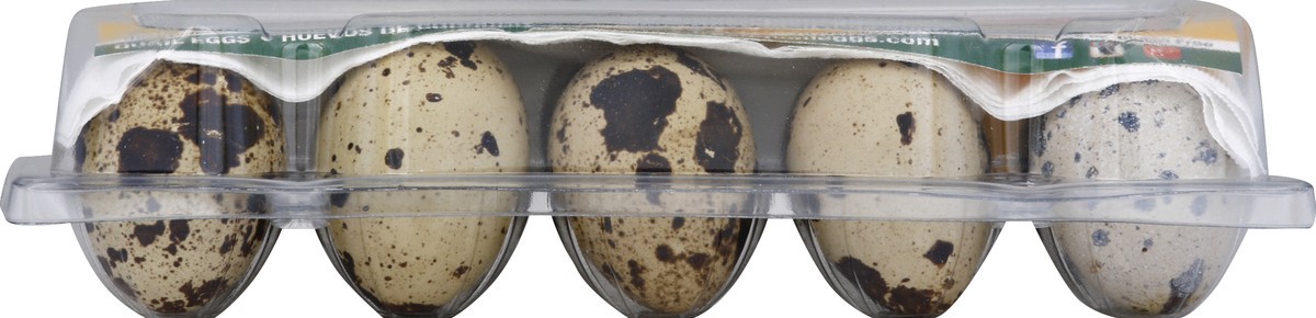 slide 1 of 8, QQE Quality Quail Eggs, 10 ct