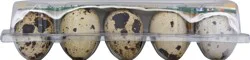 QQE Quality Quail Eggs