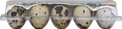 QQE Quality Quail Eggs