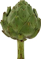 Stem Artichokes