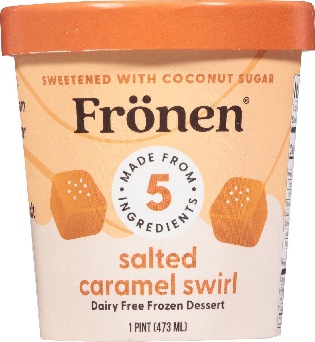 slide 5 of 13, Frönen Dairy Free Salted Caramel Swirl Frozen Dessert 1 pt, 1 ct