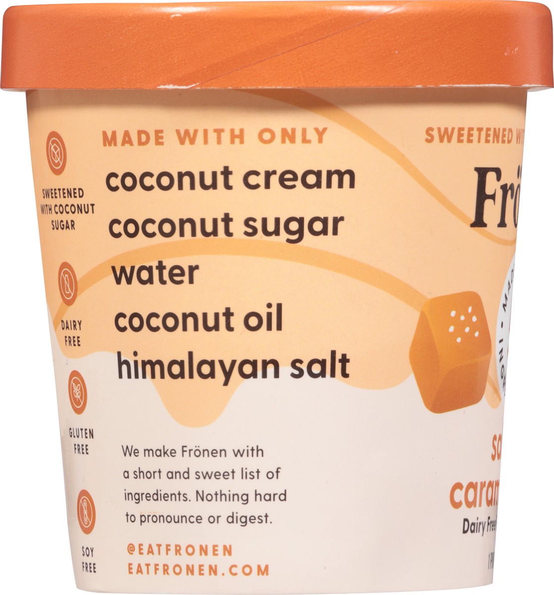 slide 2 of 13, Frönen Dairy Free Salted Caramel Swirl Frozen Dessert 1 pt, 1 ct