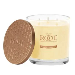Root 3 Wick Sugared Grapefruit Honeycomb Candle