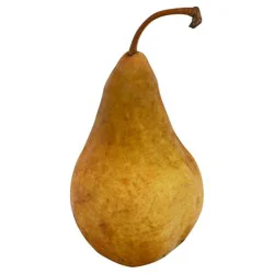 Organic Bosc Pear