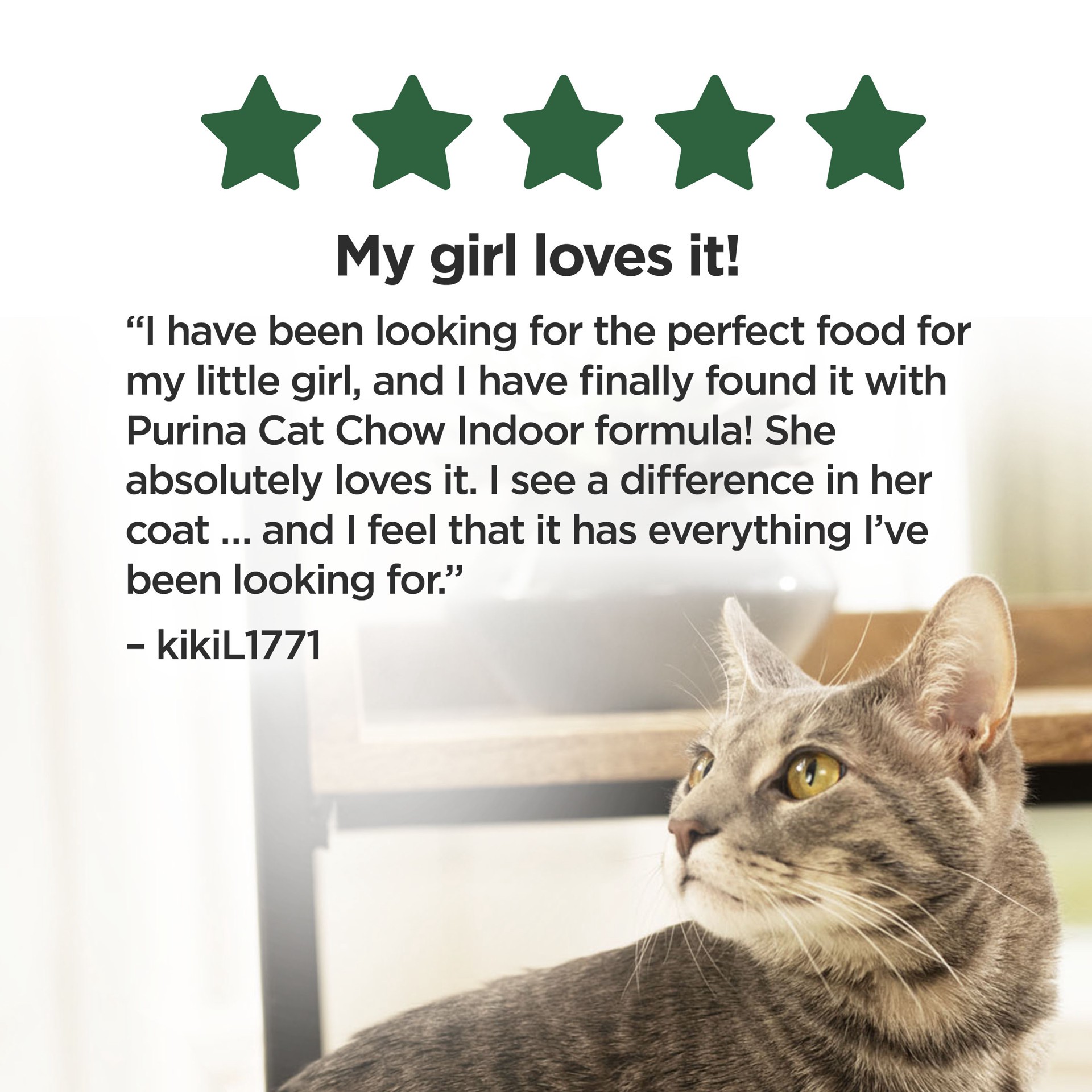 slide 6 of 9, Cat Chow Purina Cat Chow Indoor Dry Cat Food, Hairball + Healthy Weight - 20 lb. Bag, 20 lb