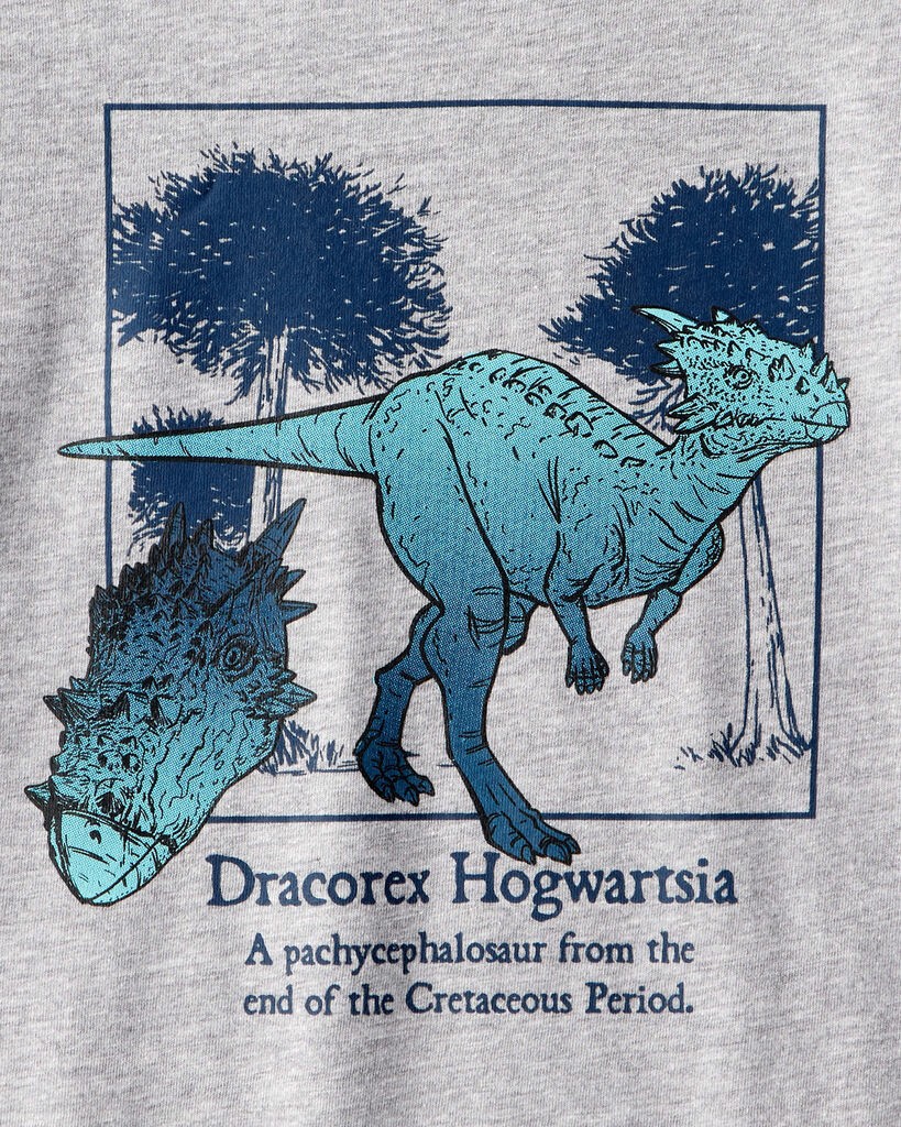 slide 2 of 2, Carter's Boys Dinosaur Long-Sleeve Graphic Tee - Grey Grey S, 1 ct
