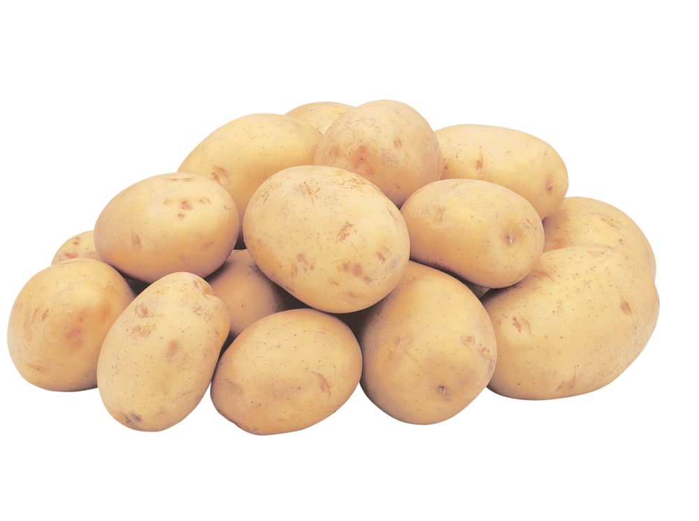 slide 1 of 1, Yellow Gold Potatoes, 1 ct