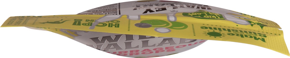 slide 3 of 9, Wiley Wallaby Sourrageous Drop Sour Licorice with a Candy Shell 6 oz, 6 oz