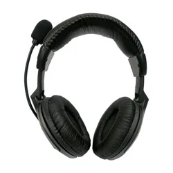 Digital Innovations Padded Headset