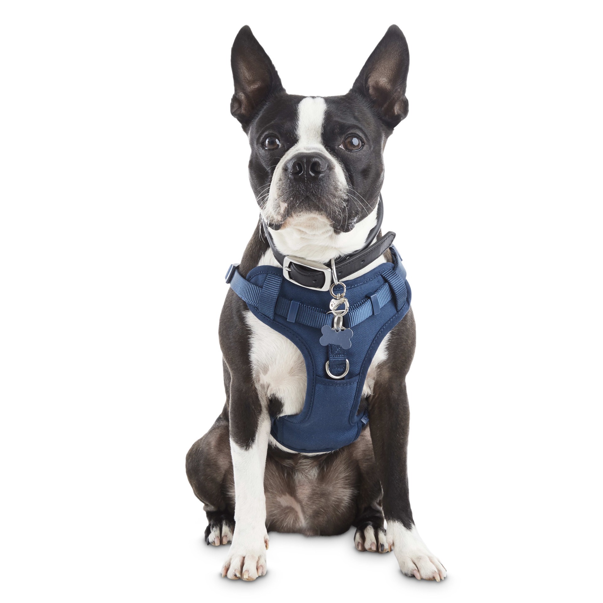 slide 1 of 1, Good2Go Navy Padded Step-In Dog Harness, X-Large, 1 ct