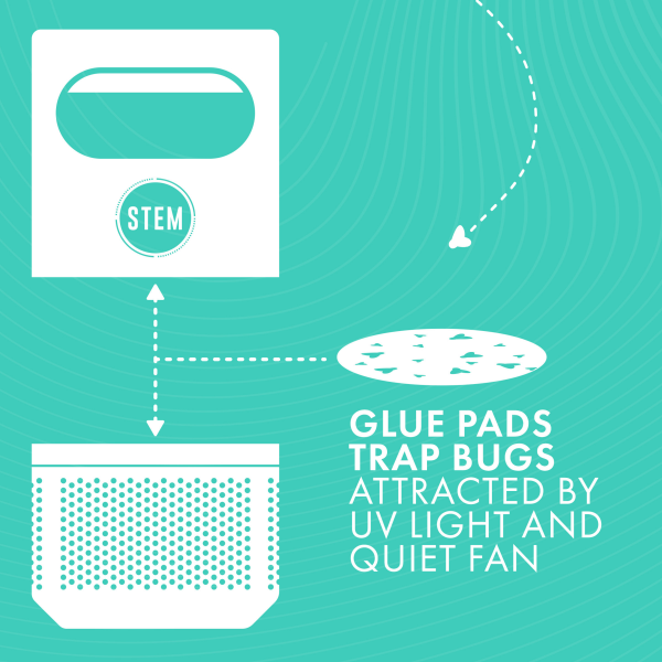 slide 28 of 29, STEM Glue Trap Rell Pads for STEM Flying Insect Fan Trap Device, 5 Count, 5 ct