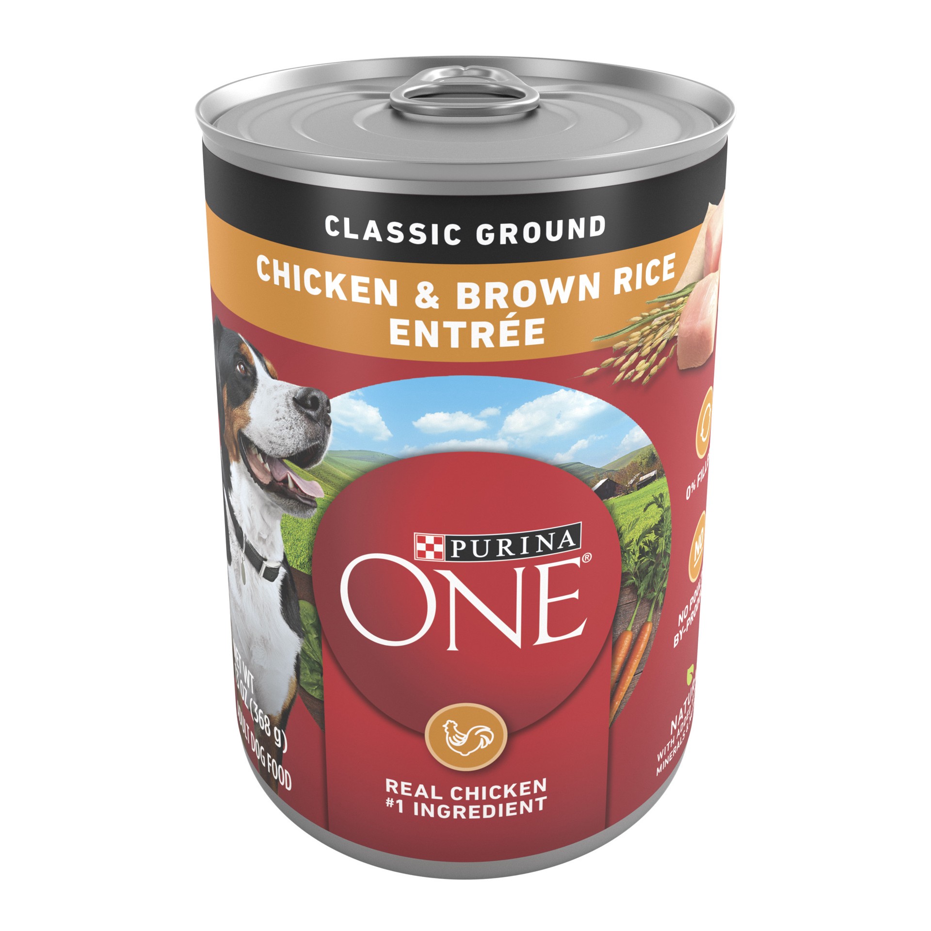 slide 1 of 5, ONE Purina ONE Classic Ground Chicken and Brown Rice Entree Adult Wet Dog Food, 13 oz