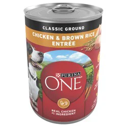 Purina ONE Classic Ground Chicken and Brown Rice Entree Adult Wet Dog Food - 13 oz. Can