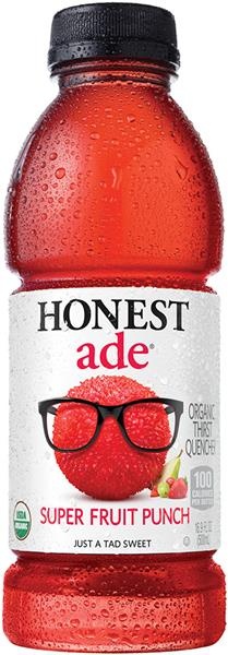 slide 1 of 1, Honest Juice Drink 16.9 oz, 16.9 fl oz